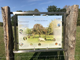 Lebensraum Streuobstwiese